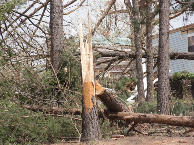 April 14, 2011 Tornado Damage Photo