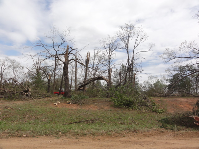 April 14, 2011 Tornado Damage Photo