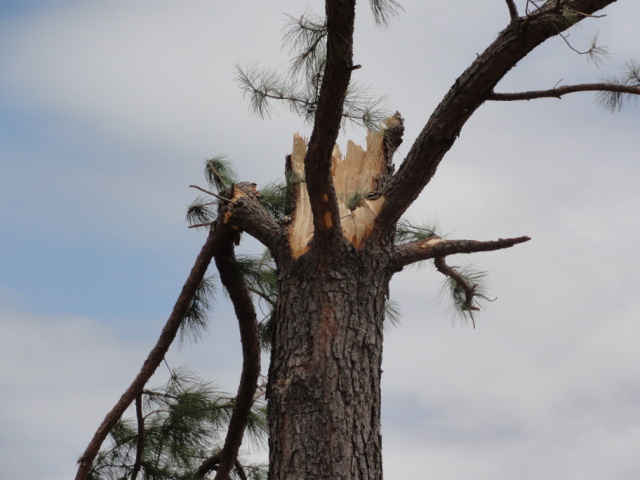 April 14, 2011 Tornado Damage Photo