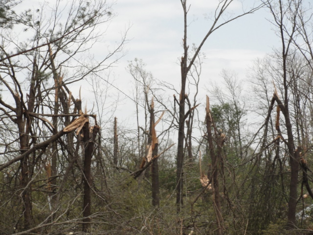 April 14, 2011 Tornado Damage Photo