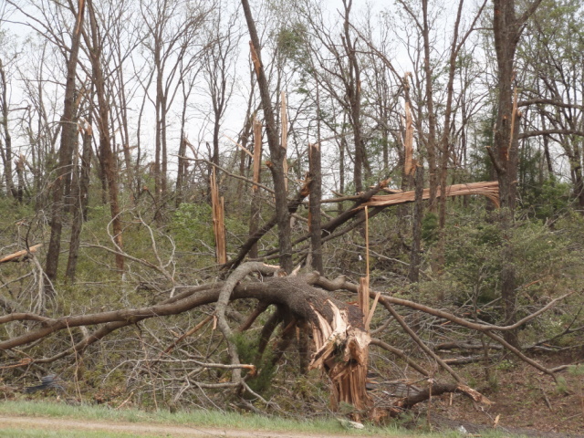 April 14, 2011 Tornado Damage Photo