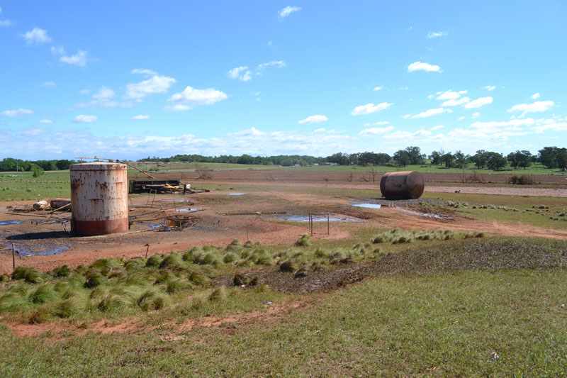 Tornado D1 Damage Photo