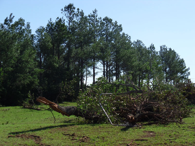 Tornado D3 Damage Photo