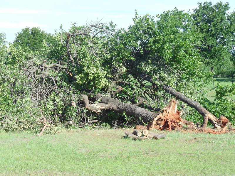 Tornado D3 Damage Photo