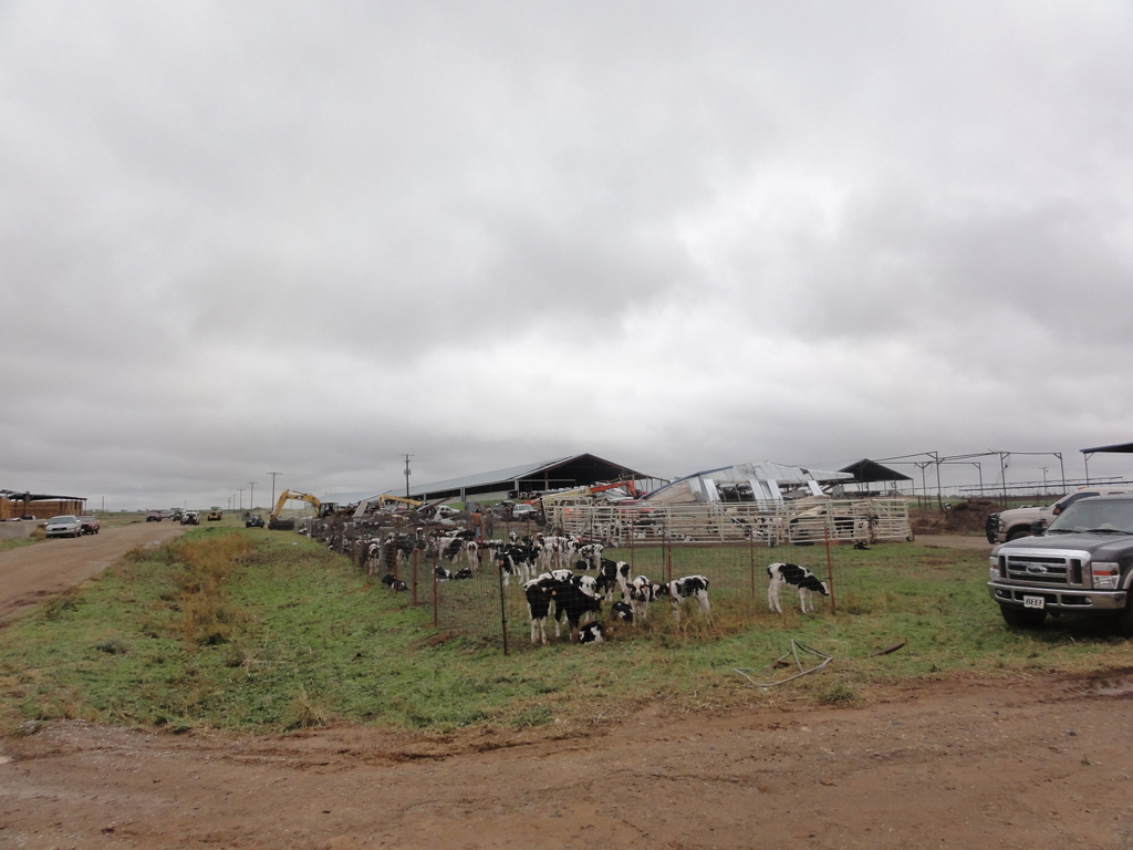 November 7, 2011 tornado damage photo