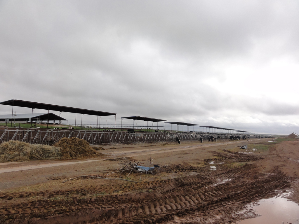 November 7, 2011 tornado damage photo