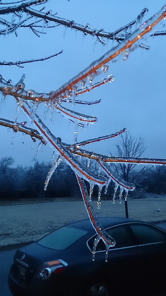 Ice Accumulation Photo for the December 20-22, 2013 Winter Storm