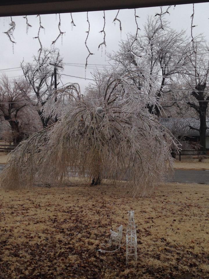 Ice Accumulation Photo for the December 20-22, 2013 Winter Storm