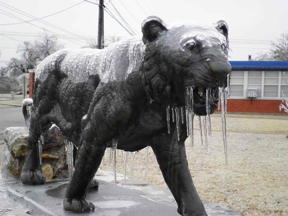 Ice Accumulation Photo for the December 20-22, 2013 Winter Storm