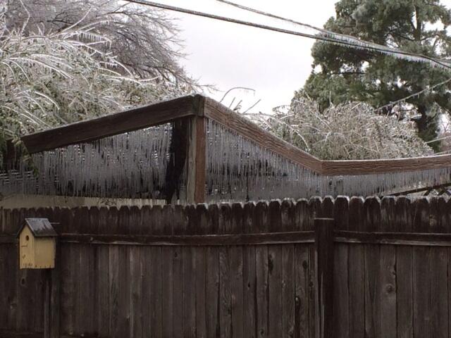 Ice Accumulation Photo for the December 20-22, 2013 Winter Storm