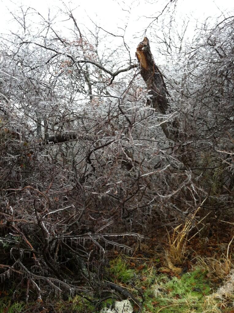 Ice Accumulation Photo for the December 20-22, 2013 Winter Storm