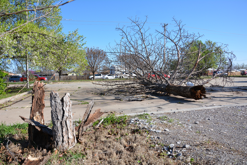 3/25/2015 Damage Photo