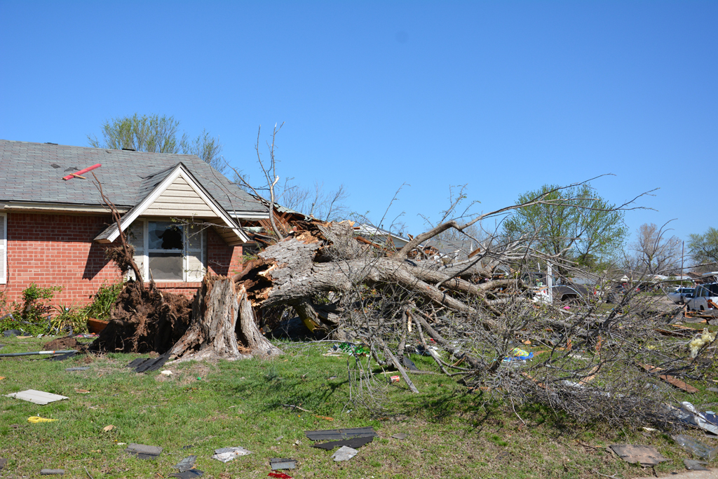 3/25/2015 Damage Photo