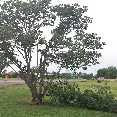 Wind Damage at an RV Park at Elk City, OK on May 16, 2015