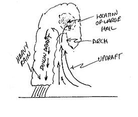 Structure of a Thunderstorm