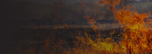 Fire Safety