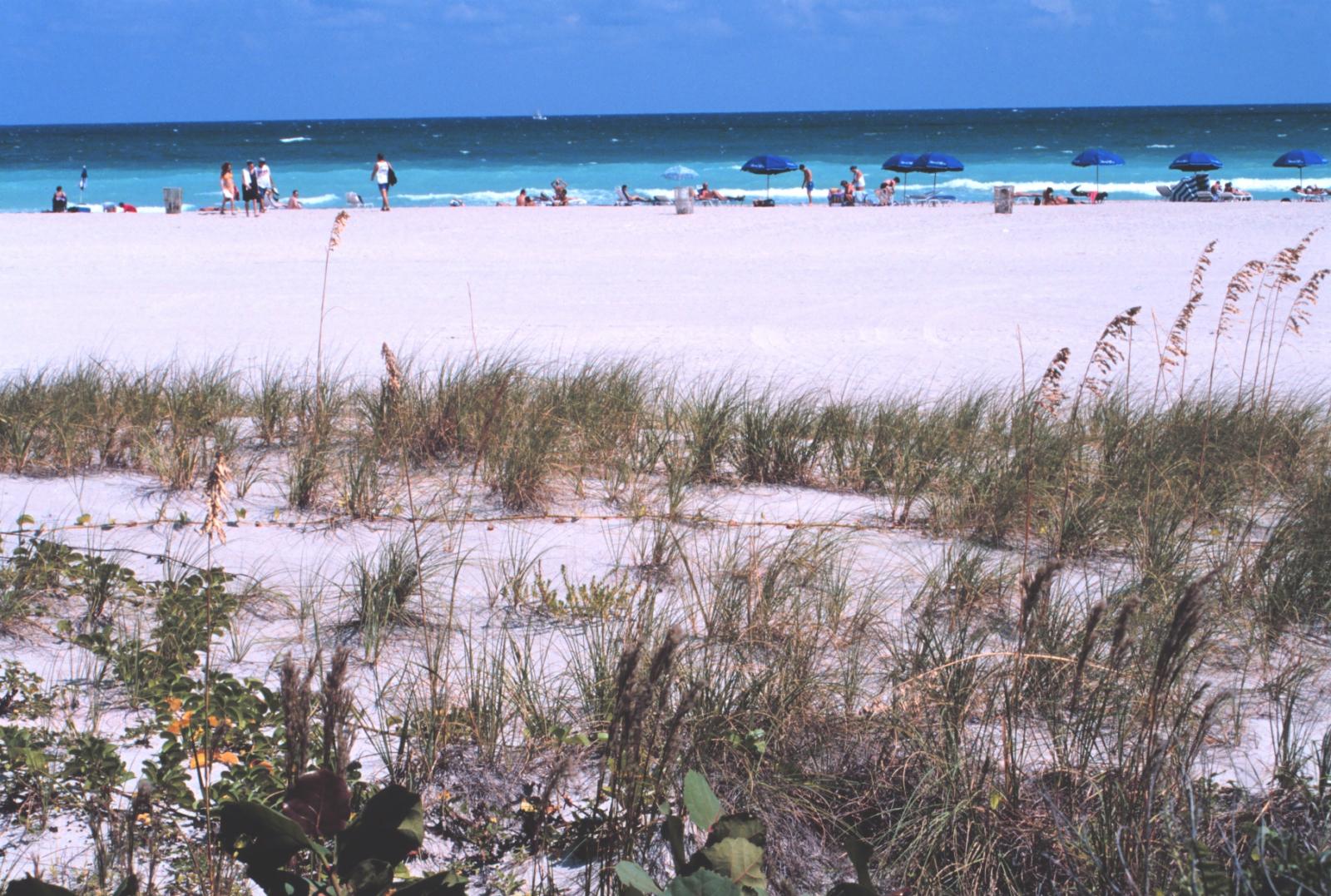 Beach Forecast Page