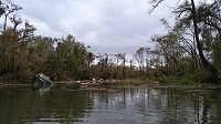 Trees snapped and buildings tossed into the Apalachicola River by an EF1 tornado that crossed the river on November 17, 2014. Photo provided courtesy of WJHG-TV.