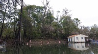 Damage along the banks of the Apalachicola River caused by an EF1 tornado that crossed the river on November 17, 2014. Photo provided courtesy of WJHG-TV.