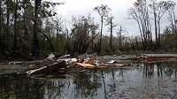 Debris tossed into the Apalachicola River by an EF1 tornado that crossed the river on November 17, 2014. Photo provided courtesy of WJHG-TV.