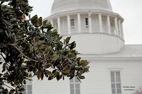 Photo of ice glazing a Magnolia tree in front of a courthouse in De Funiak Springs, FL. Photo courtesy of Keith Wilson.