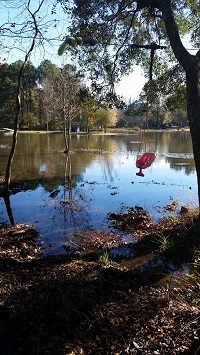 Flooding in the Northshire neighborhood inTallahassee, FL on December 24, 2014. Photo courtesy of Sam Coskey via Facebook.