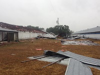 A chicken coop damaged by severe thunderstorm wind gusts near Lee in Madison County, FL on November 17, 2014.