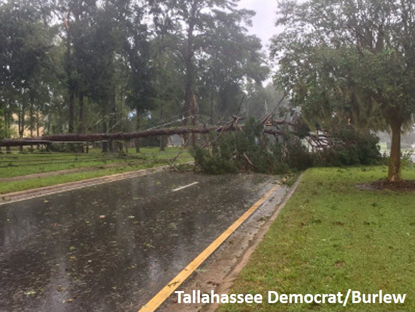 Irma Damage