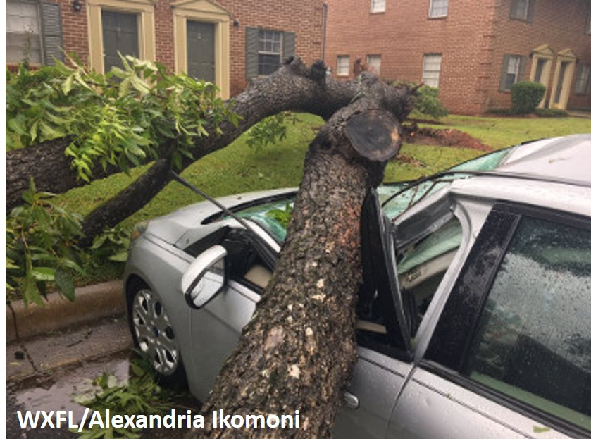 Irma Damage