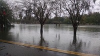 A flooded Lake Ella in Tallahassee, FL on December 24, 2014. Photo courtesy of Max Tsaparis via Twitter.