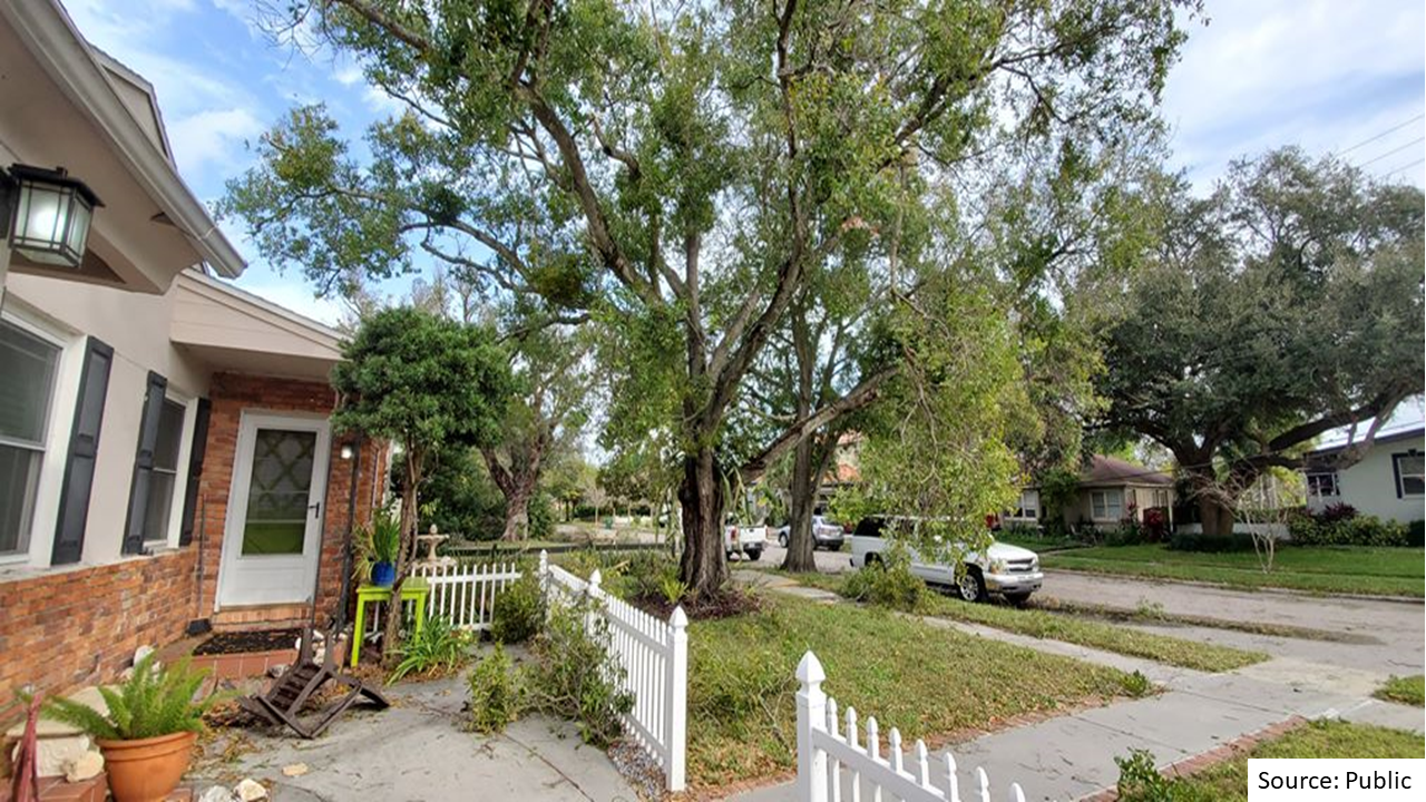 Tree damage on Davis Island