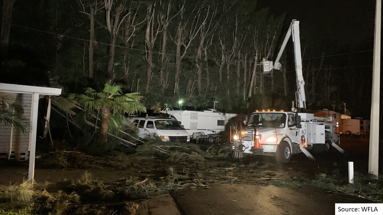 Tree and Mobile Home Damage in Pinellas Park