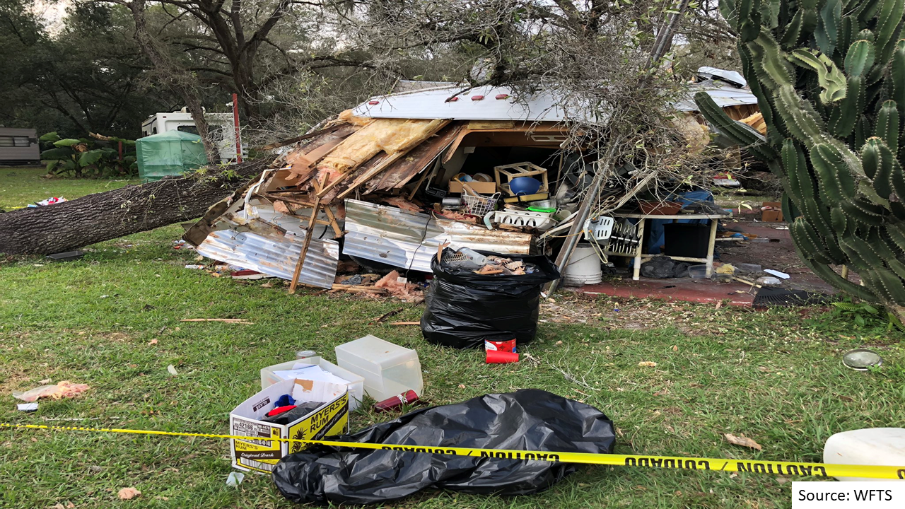 Tree on RV in Shady_Hills, Pasco County