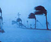 Tampa Bay Graphical HWO Winds