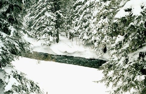 Spearfish Creek just north of Cheyenne Crossing.