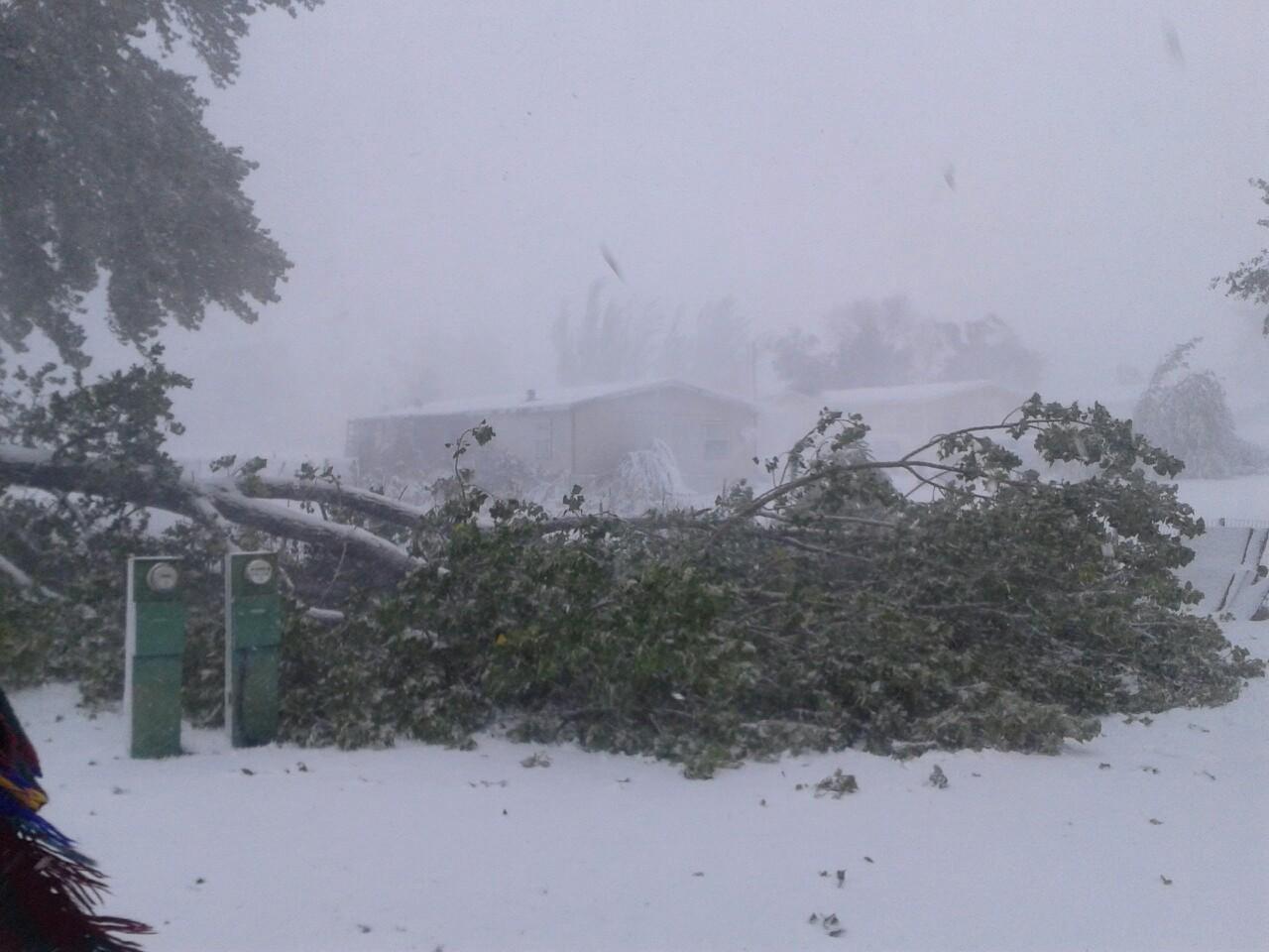 Tree debris at Fitzgerald Field in Rapid City. Photo by Pennington County Emergency Management Office.