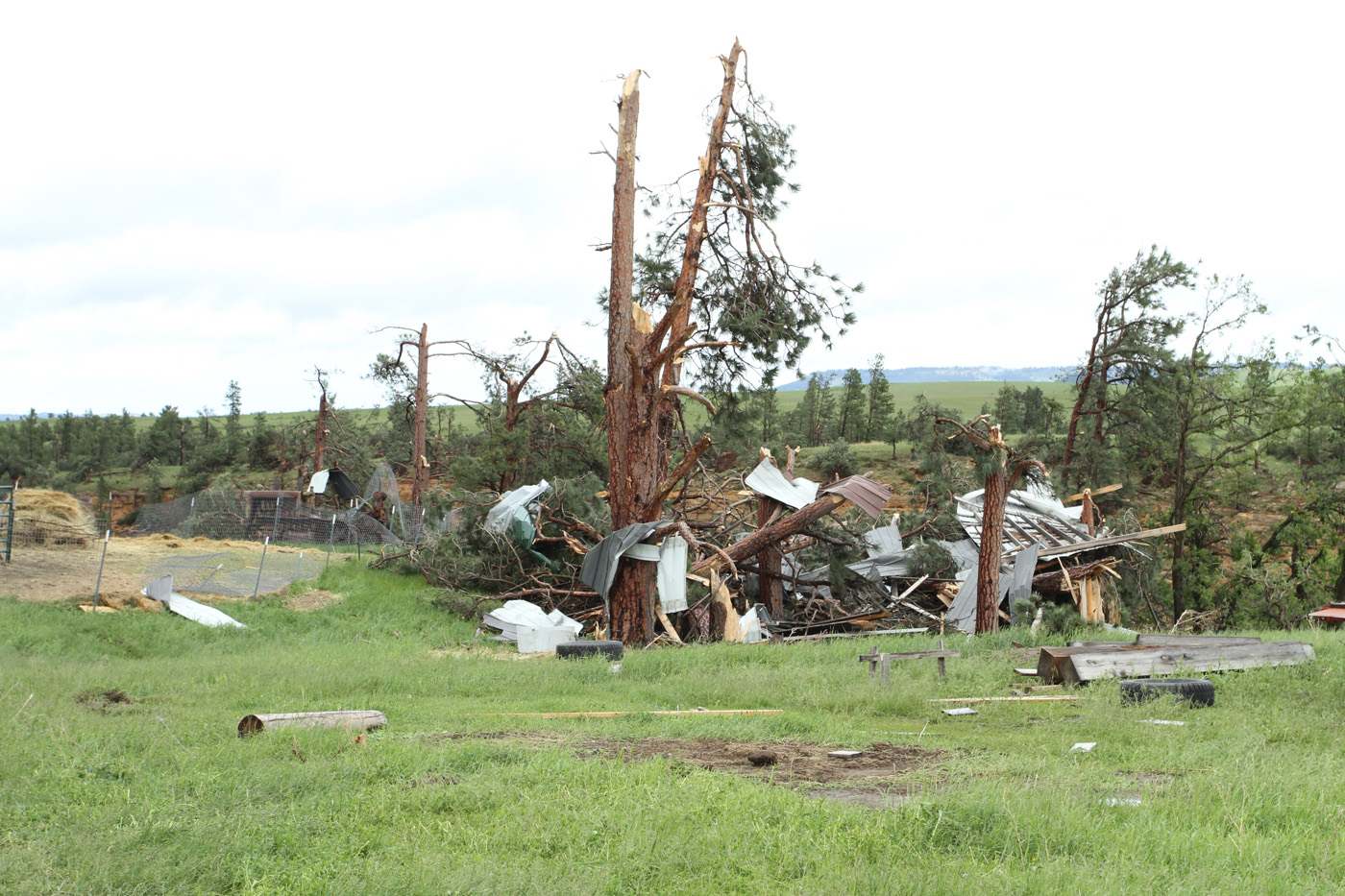 Sheet metal around a tree approximately 3 miles northeast of Hulett