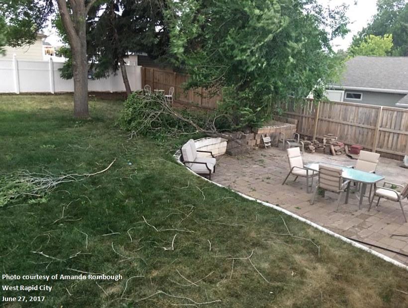 Tree damage in west Rapid 