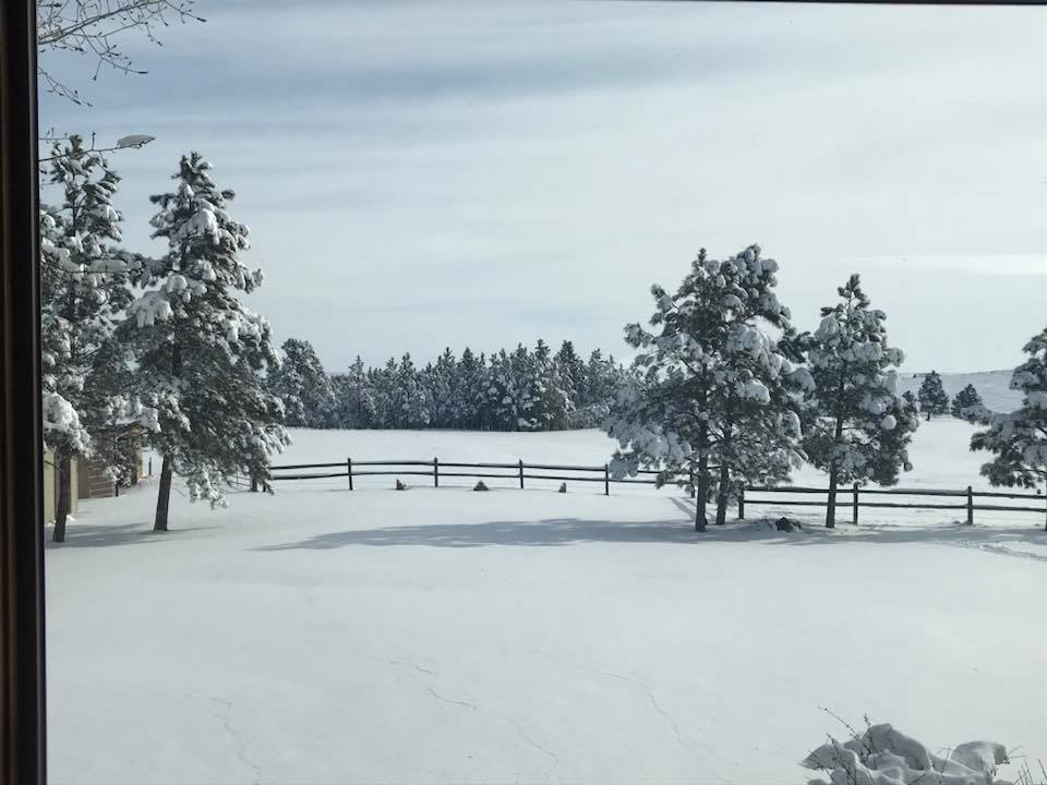 Snowfall in North Rapid, by Amy Kinsinger.