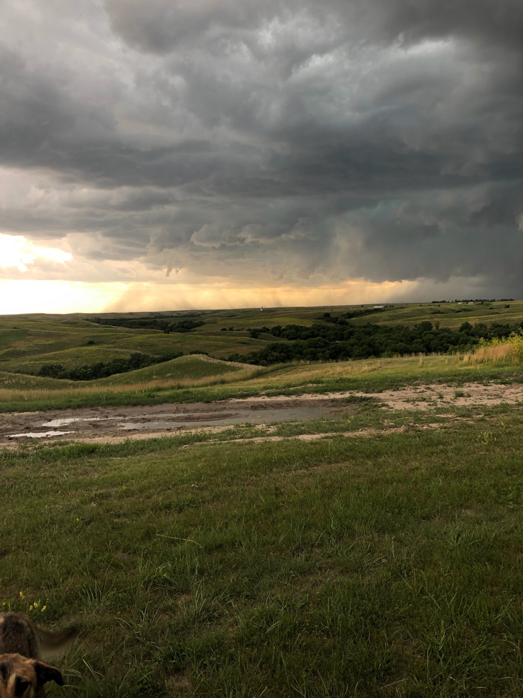 Photo of Allen tornadic storm