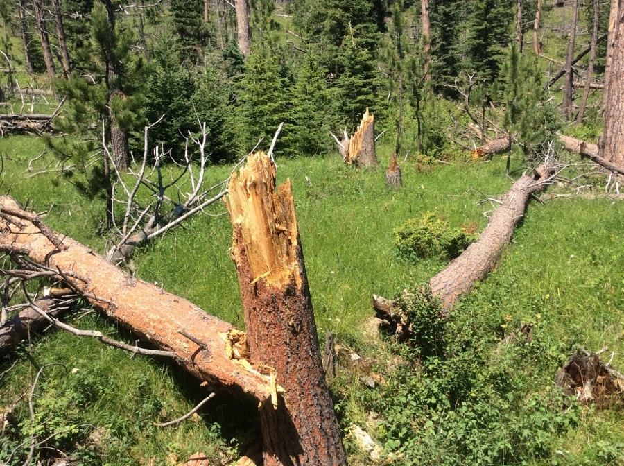 Damage photo from NWS storm survey