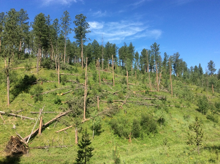 Damage photo from NWS storm survey