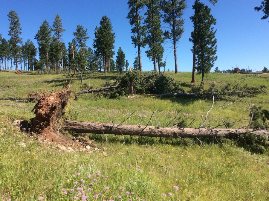 Damage photo from NWS storm survey