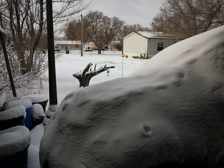 Box Elder, SD Courtesy Meri C.