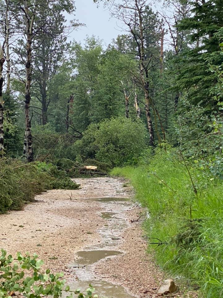 Hail photo from near Box Elder