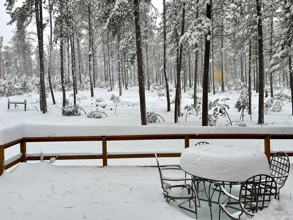 Heavy snow east of Rochford