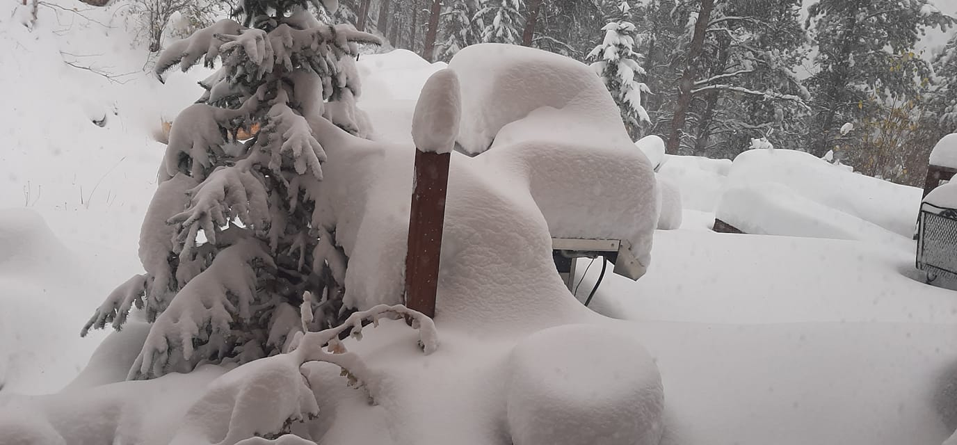 Heavy snow in Spearfish Canyon