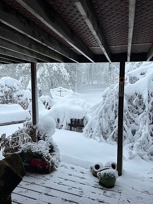 heavy snow near Belle Fourche