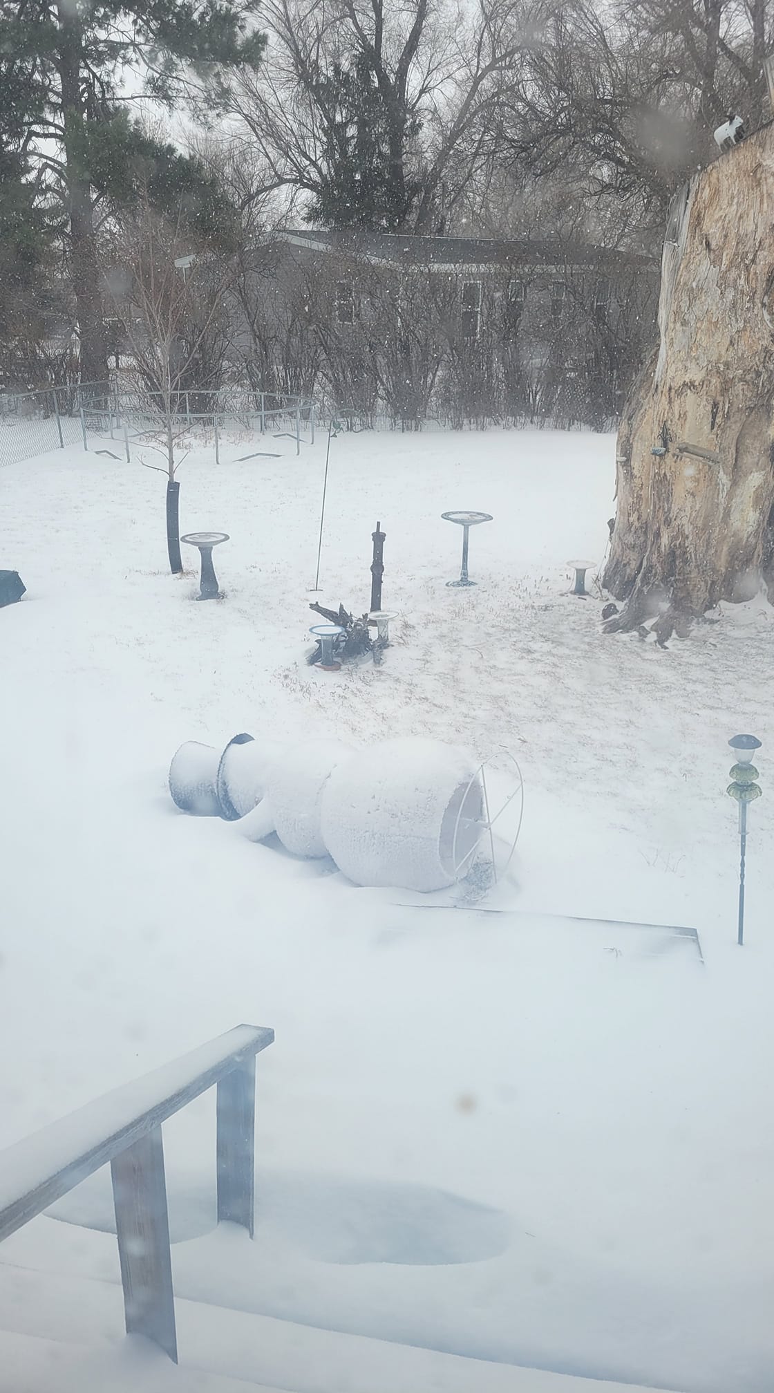 Wind toppled snow-covered snowman