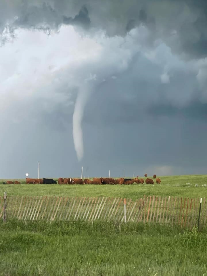 A thin, white tornado touches down in a field near Faith, South Dakota 